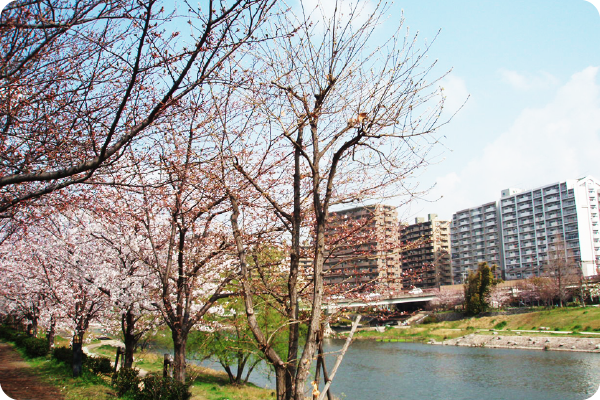 九州日语学院 学校周边环境